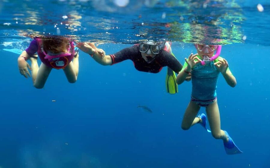 From Punta Cana: Small Group Catalina Island Snorkeling Tour - Why this Catalina day works so well