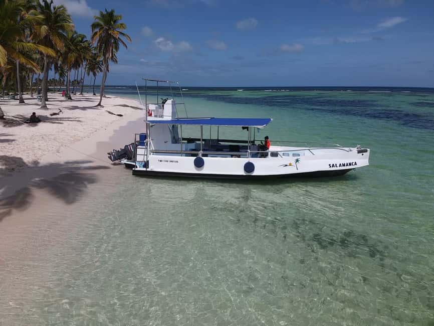 From Punta Cana: Small Group Catalina Island Snorkeling Tour - The Wall: the day’s deeper snorkel