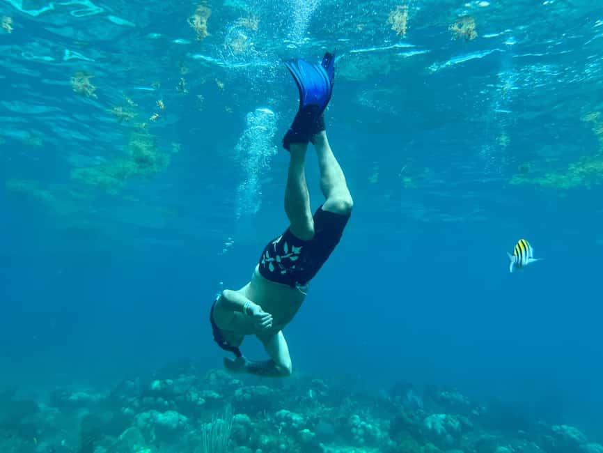 From Punta Cana: Small Group Catalina Island Snorkeling Tour - The Aquarium: shallower water and a boat jump