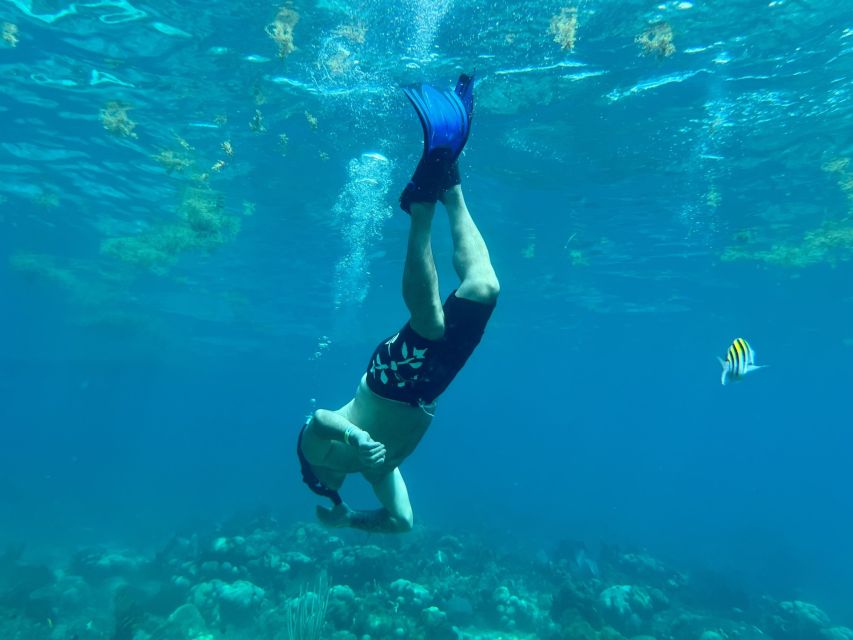 From Punta Cana: Small Group Catalina Island Snorkeling Tour - The Chavon River changes the mood