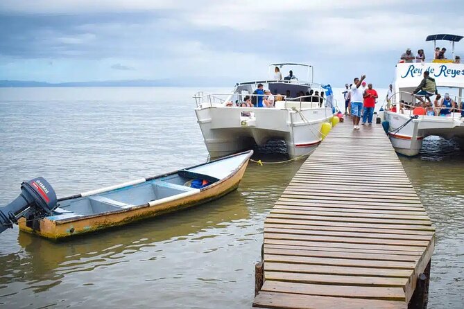 Full Day Bacardi Whale Watching - End Season March 30th - Who will enjoy this Punta Cana day trip