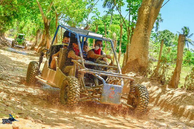 Full-day Buggy & Party Boat tour: snorkel, open bar, cave pool - Key points to know before booking
