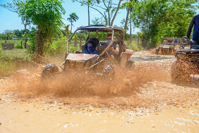 Full-day Buggy & Party Boat tour: snorkel, open bar, cave pool - What is included for your $105