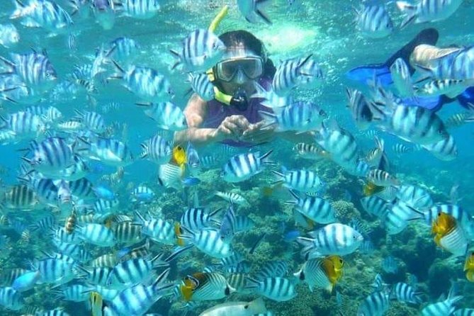Full day Caribbean Catalina Island with snorkeling - Barbecue lunch and the open bar