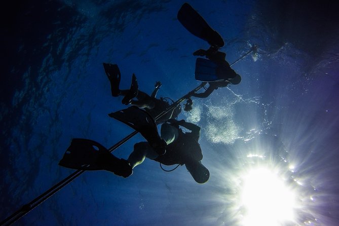 Full-Day Catalina Island Scuba Diving Tour from Punta Cana - Booking, weather, and cancellation basics