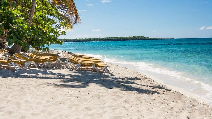 Full-Day Catalina Island Snorkeling Tour from Bavaro - Key points to know before you book