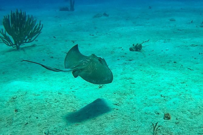 Full-Day Catalina Island Snorkeling Tour from Bavaro - Catalina Island brings the best beach time