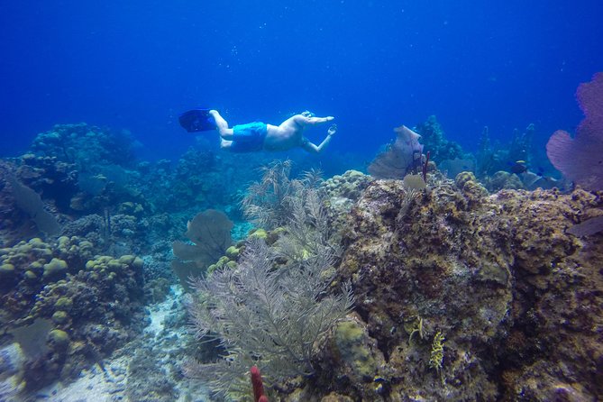 Full-Day Catalina Island Snorkeling Tour from Bavaro - A Dominican BBQ and drinks are part of the value