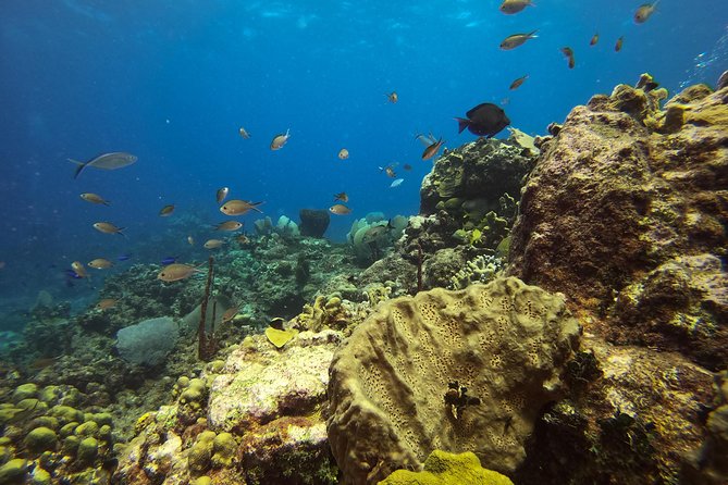 Full-Day Catalina Island Snorkeling Tour from La Romana - Afternoon beach time and the ride home