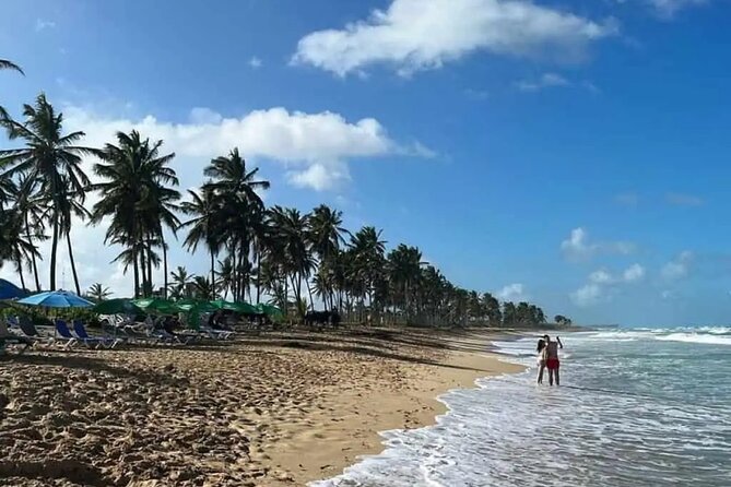 Full Day City Tour of Punta Cana - A quick way to see Punta Cana beyond the resort