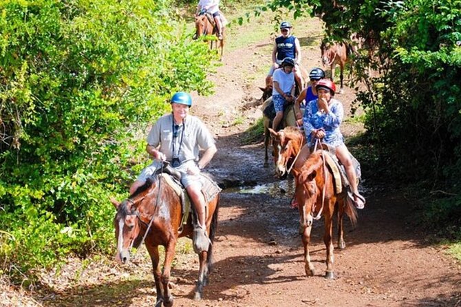 Full Day Eco Safari Adventure and Cultural Tour - From the resort zone to the real Dominican Republic