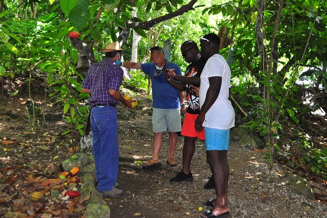 Full Day Eco Safari Adventure and Cultural Tour - Horseback riding adds some activity