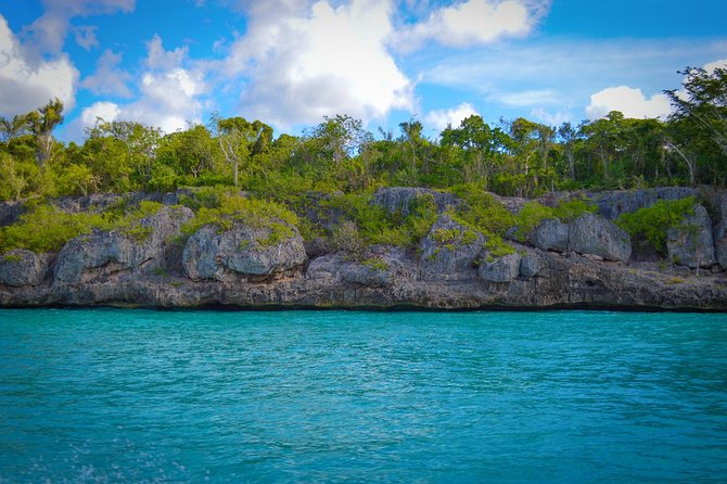 Full-Day Excursion in Saona Island - What the guides and language service are like