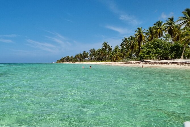 Full Day Island Tour in Isla Saona from Punta Cana - What the $68 Price Really Covers