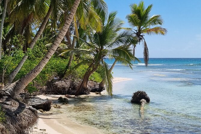 Full Day Island Tour in Isla Saona from Punta Cana - Booking Timing and Weather Rules