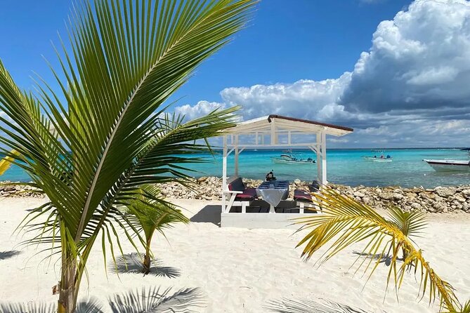 Full Day Private Tour of Bayahibe, Cotubanamá and Saona Island - Saona Island, Catuano, and lunch by the water