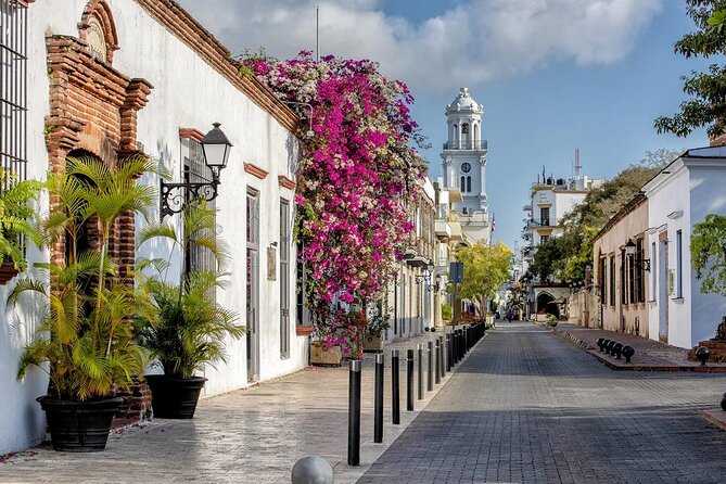 Full Day Santo Domingo City Tour: History of the Caribbean From Punta Cana - The included Dominican buffet
