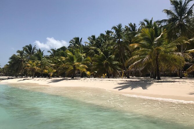 Full-Day Saona Island Escape – Beaches, Adventure, Paradise Vibes - Fast boats, catamarans, and the ride itself