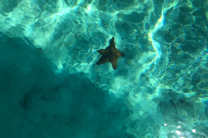 Full-Day Saona Island Escape – Beaches, Adventure, Paradise Vibes - Who will enjoy this day most