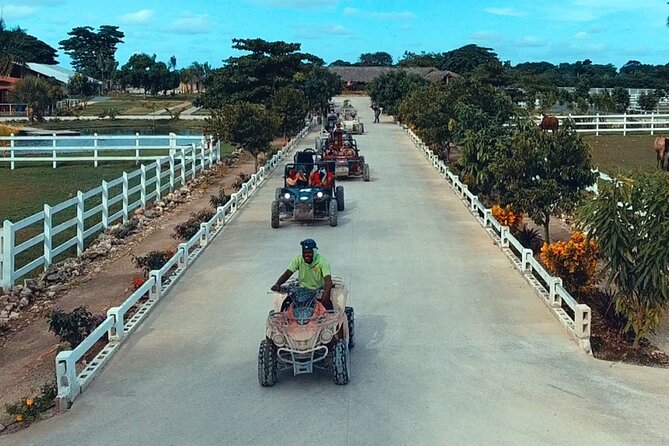 Full day tour. Buggy, lunch and Catamaran Adventure - What the $120 price really covers