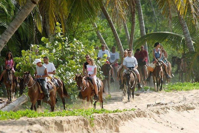 Full day tour to samana bay from punta cana - Reaching Limón Falls on horseback
