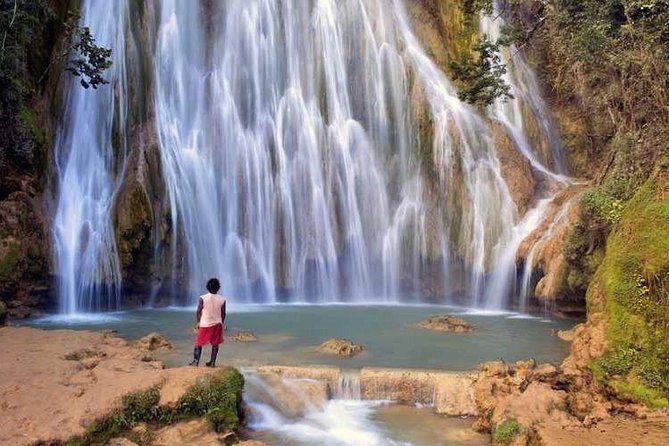 Full day tour to samana bay from punta cana - What the $145 price really covers