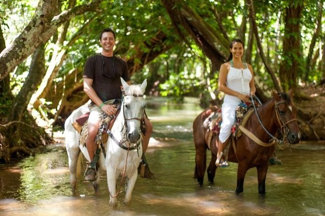 Full day tour to samana bay from punta cana - The schedule rewards realistic expectations
