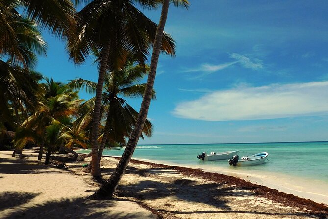 Full Day Tour to Saona Island by Catamaran and Speedboat - Saona Island From Punta Cana: What The Day Is Really About