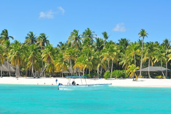 Full Day Tour to Saona Island by Catamaran and Speedboat - Lunch, Open Bar, And The Beach Massage
