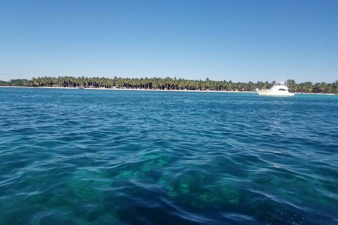 Full Day Tour to Saona Island by Catamaran and Speedboat - Playa Palmilla Natural Pool And Starfish Stop
