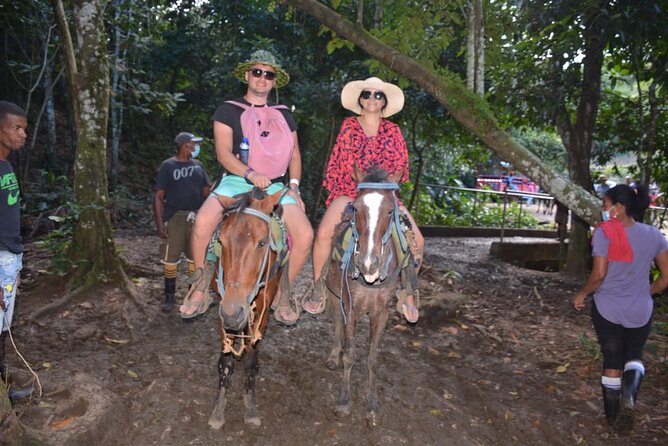 Full-Day Trip to Limon Waterfall and Bacardi Island - Who will enjoy this day most