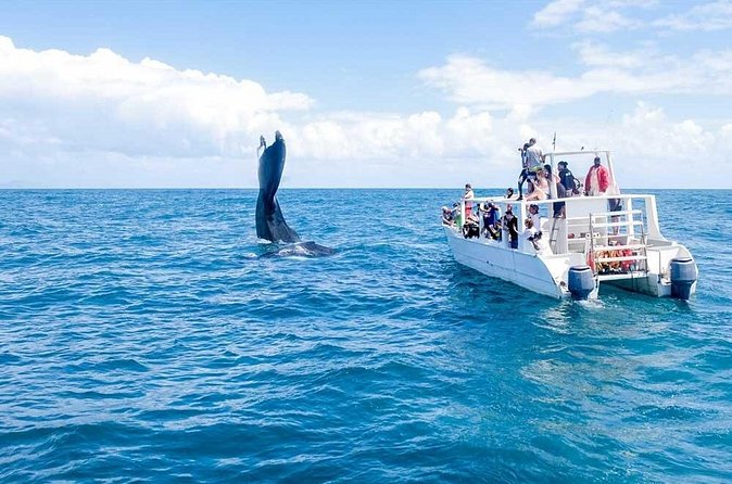 Full-day Whale watching Tour in Samana Bay from Punta Cana - Riding toward El Limón Waterfall