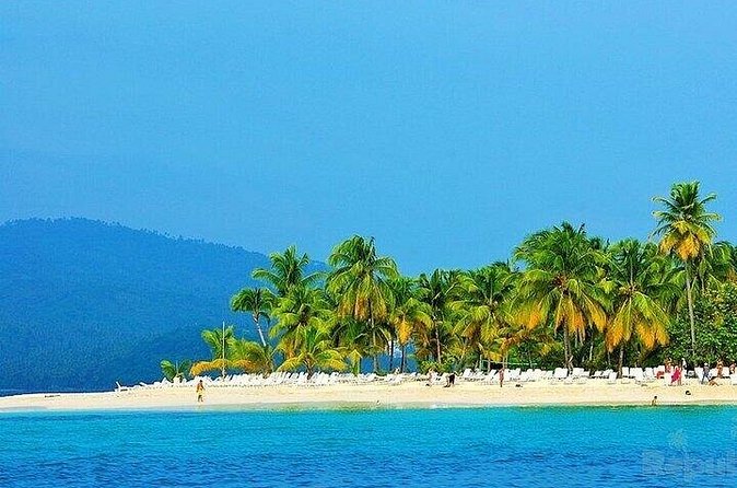 Full-day Whale watching Tour in Samana Bay from Punta Cana - Booking advice and cancellation terms