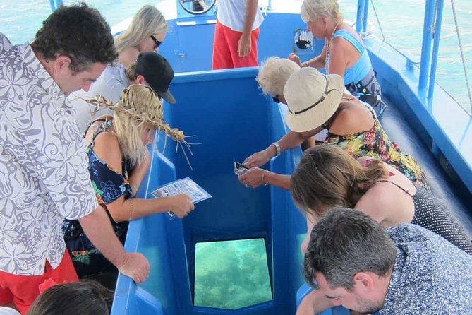 Glass Bottom Boat in Punta Cana - What makes the natural pool special