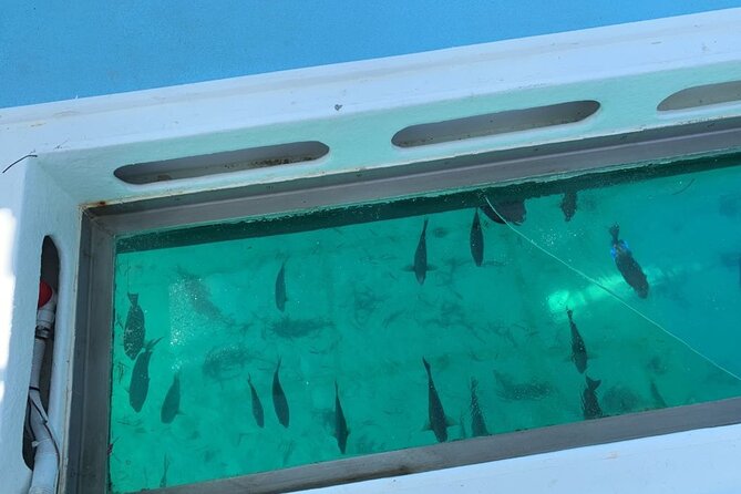 GlassBottom Catamaran with Slide - Snorkeling near coral reef areas