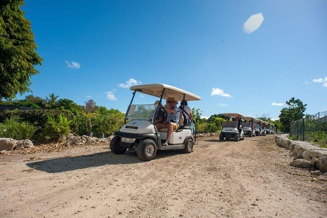 Golf Cart Eco Tour Half Day Tour - Why the golf cart ride is only part of the adventure