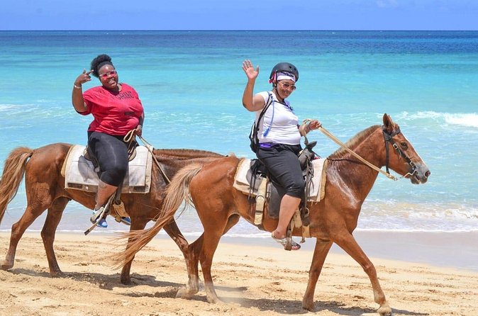 Guided Horseback Ride On The Beach With Pickup From Punta Cana - What the beach looks like in real conditions