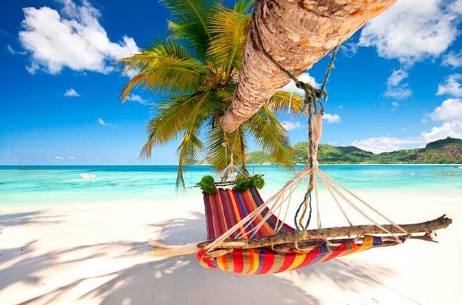 Guided Saona Island Tour in Punta Cana - Mangroves and the natural pool