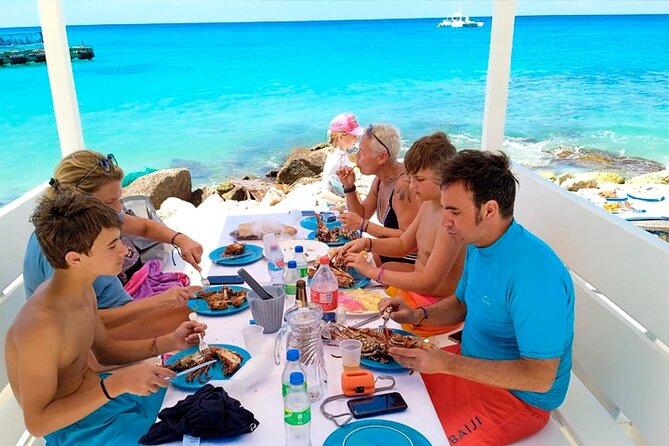 Guided Saona Island Tour in Punta Cana - What the private format changes