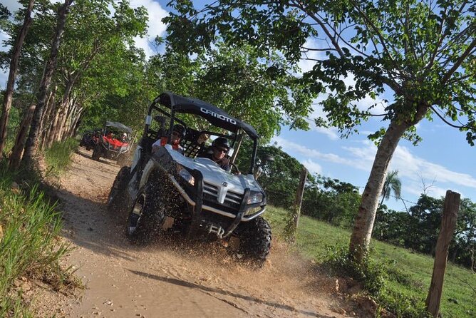 Guided Tour in Polaris (4X4) by Macao Beach, Taino Cave and Typical House - What $95 buys you, and where the value depends