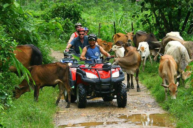 Half-Day Adventure 4x4 ATV, Water Cave and Dominican Culture - A countryside adventure packed into four hours