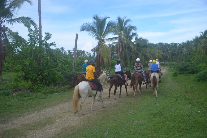 Half Day Buggies and Horseback Experience in Punta Cana - Pickup, transfers, and the early start
