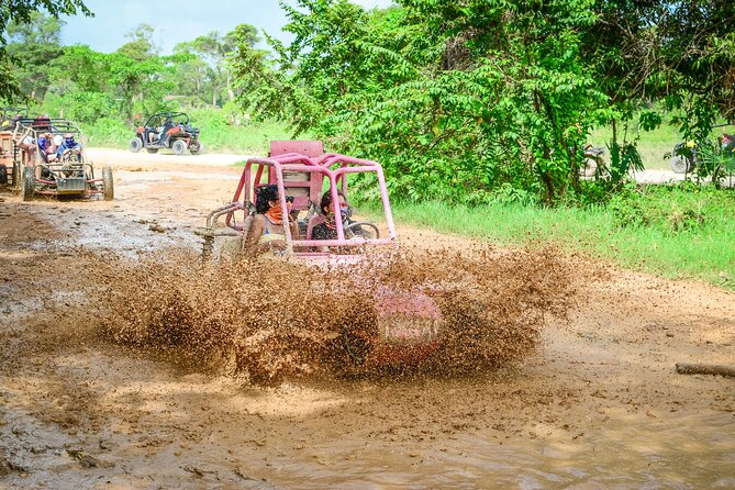 Half-Day Buggy Tour to Water Cave and Macao Beach - The organic farm stop and local tastings
