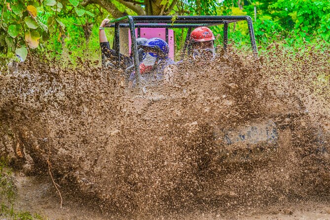 Half-Day Buggy Tour to Water cenote and Macao Beach in Punta Cana - Macao Beach gives the tour a welcome change of pace