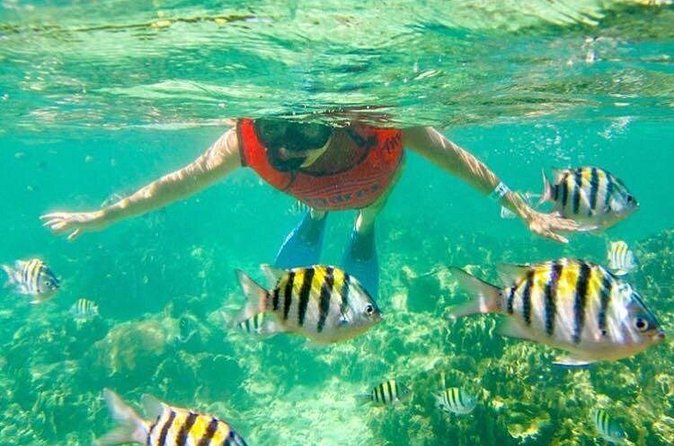 Half Day Catamaran & Snorkeling - Drinks, music, and the social side