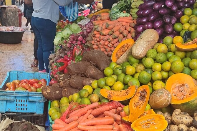 Half-day City tour cultural from punta cana for small group - Key points to know before booking