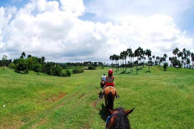 Half-Day Cultural Safari - The guide can shape the whole experience