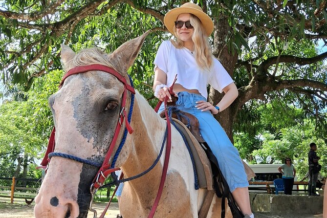 Half-day Cultural Tour in the City of Higüey - Rancho Real Cigars and a taste of mamajuana