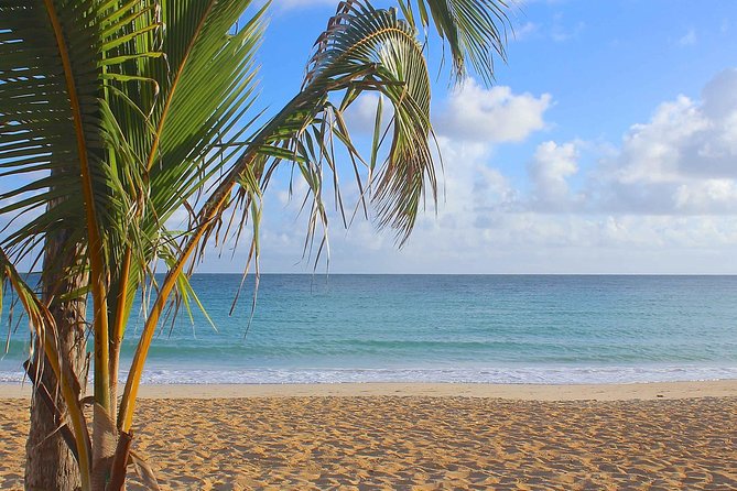 Half-Day Dominican Republic Safari Tour from Punta Cana - Is $65 a fair price?