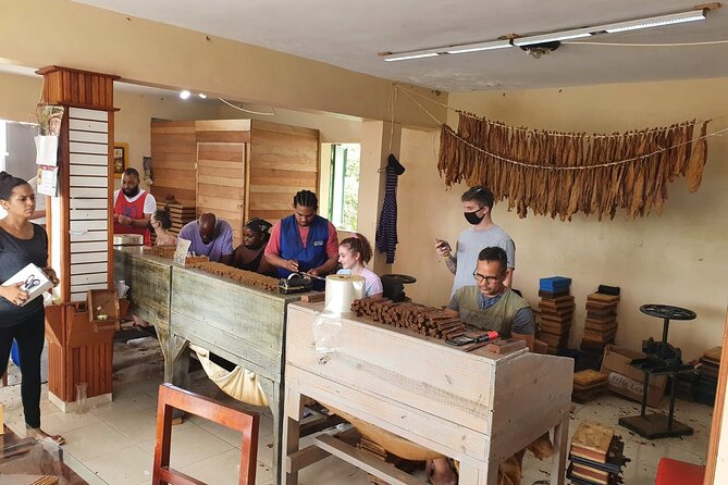 Half Day Dominican Safari for all Family - Private transportation makes the short schedule work